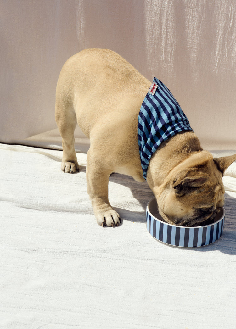 Denim pet bandana