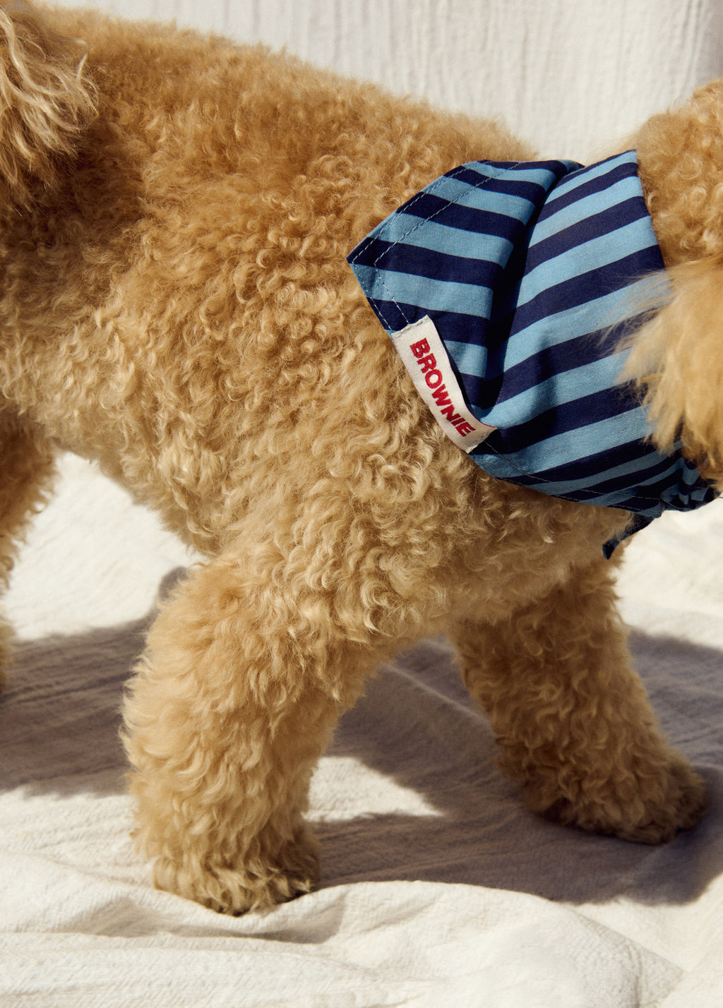 Denim pet bandana