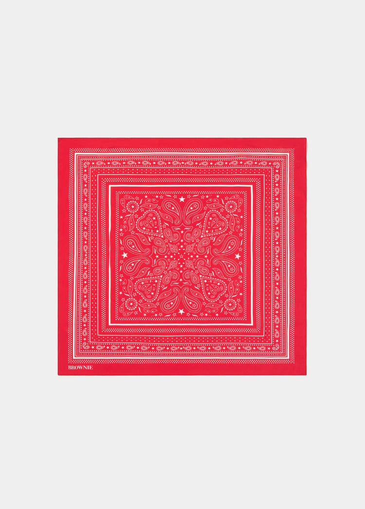 Paisley bandana scarf