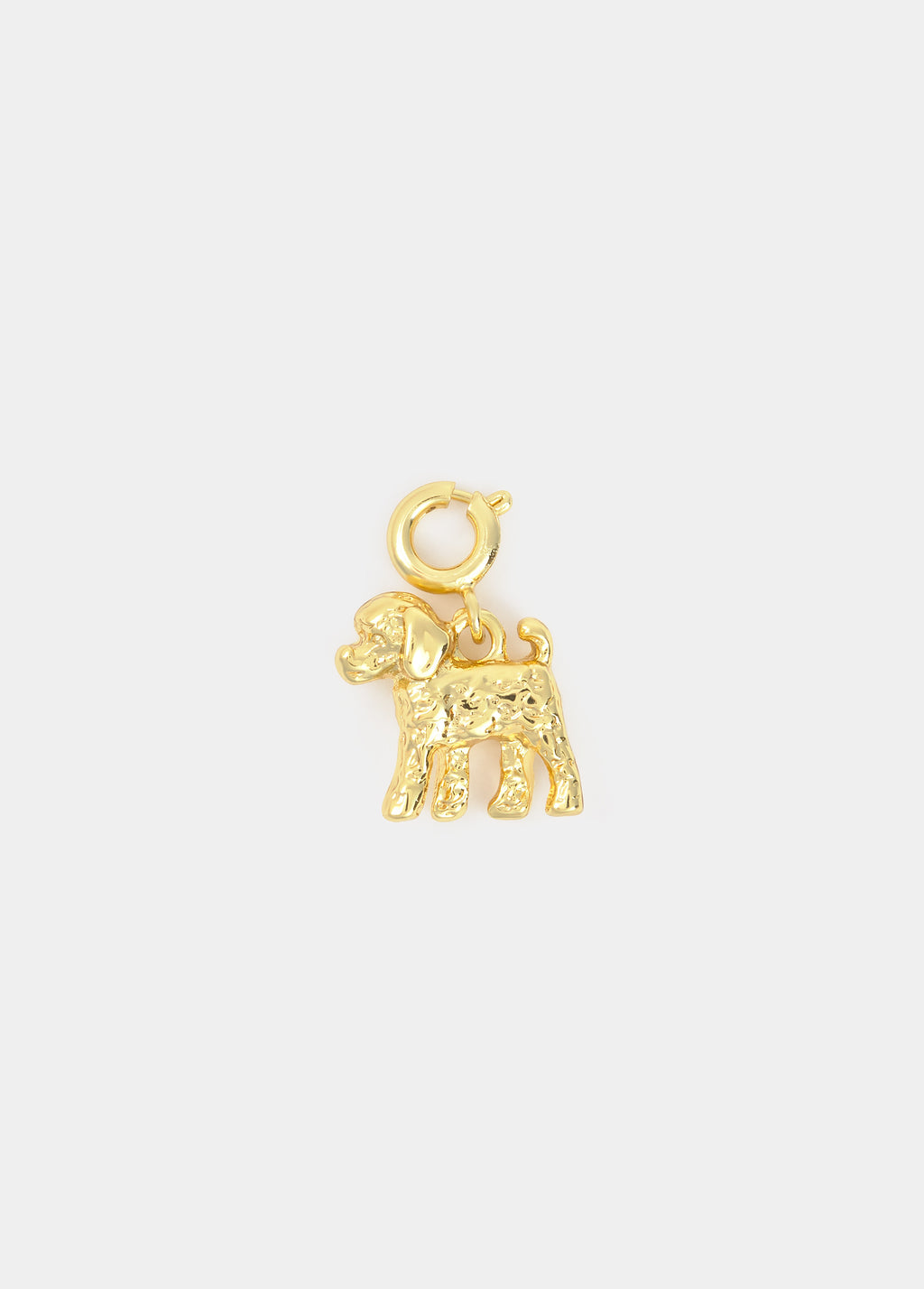 Dog charm