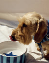 Pet bowl